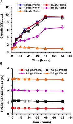 Cellular Analysis and Comparative Transcriptomics Reveal the Tolerance Mechanisms of Candida tropicalis Toward Phenol